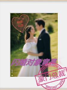 相亲乌龙，闪婚对象竟是豪门总裁