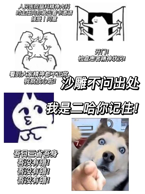 沙雕不问出处,我是二哈你记住!