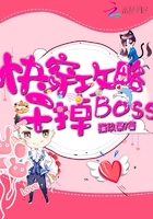 快穿攻略，干掉boss